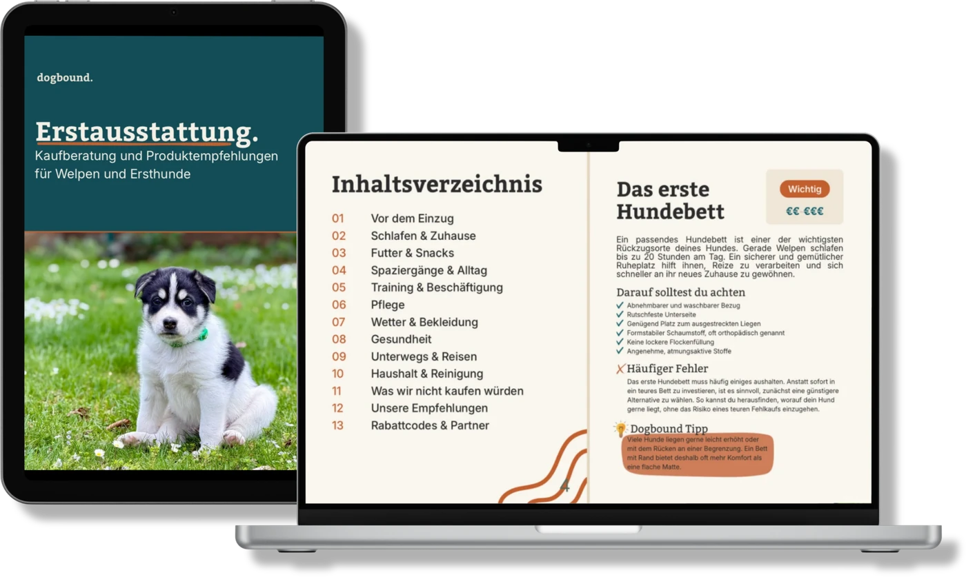 Der Erstausstattungs-Guide von dogbound auf Tablet und Laptop, mit Cover und einer aufgeschlagenen Guide-Seite