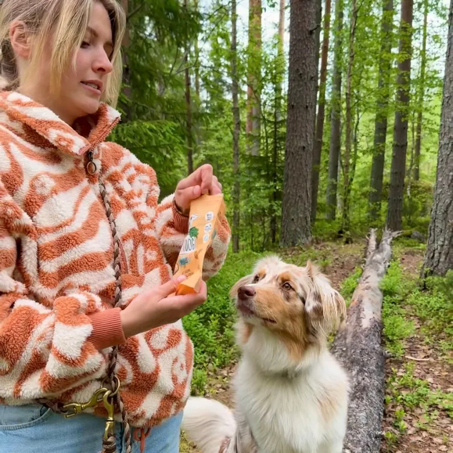 Vegdog mit Hund